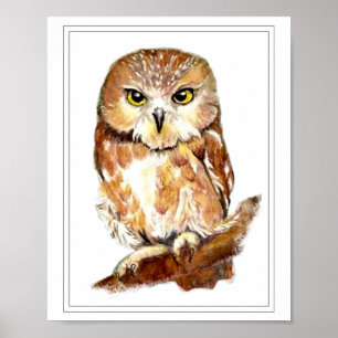 Poster Watercolor Saw Whet Owl