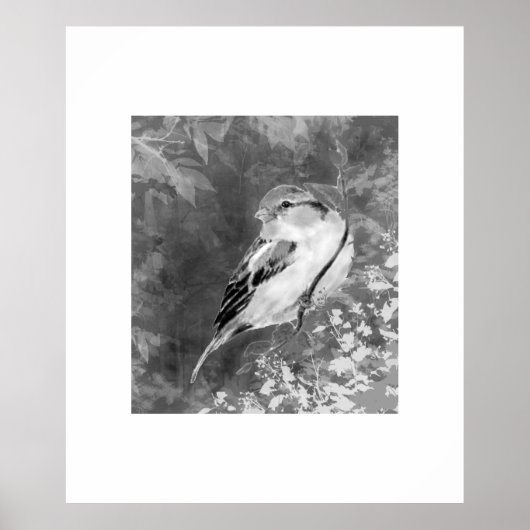 Poster Watercolor Sparrow Bird in Forest (Devant)