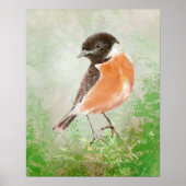 Poster Watercolor Stonechat Bird  Nature Art (Devant)