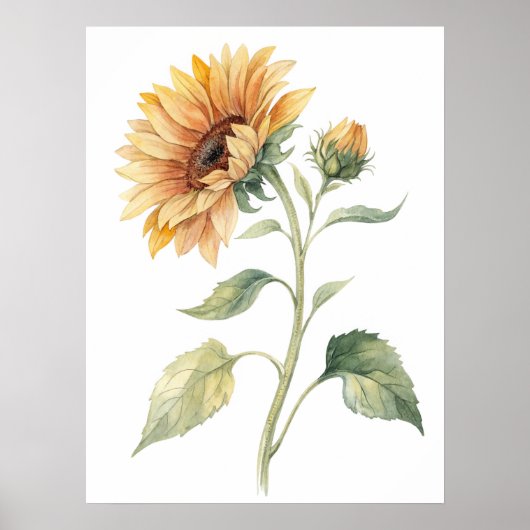 Poster Watercolor Sunflower Wall Art Print (Devant)