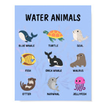 Poster waterdieren