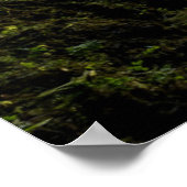 Poster Waterfalls | Icelandic Waterfall (Coin)