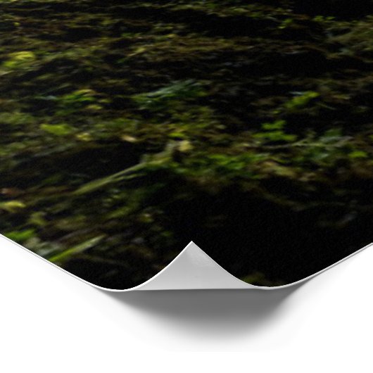 Poster Waterfalls | Icelandic Waterfall (Coin)