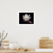 Poster Waterlilly (Cuisine)