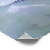 Poster waterlio (Hoek)