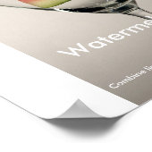 Poster Watermelon Martini (Coin)