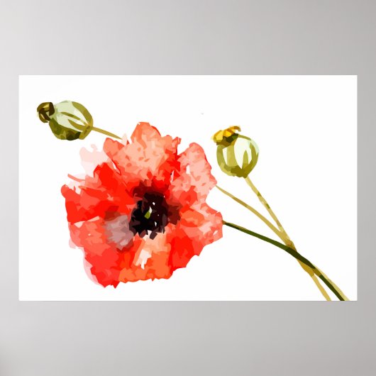 Poster waterverf rode papaver (Voorkant)