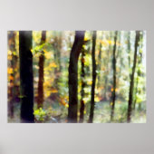 Poster Watery Woods (Devant)