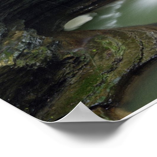 Poster Watkins Glen Imprimer (Coin)