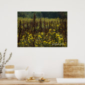 Poster Watsonville Champs de Van Gogh II (Cuisine)