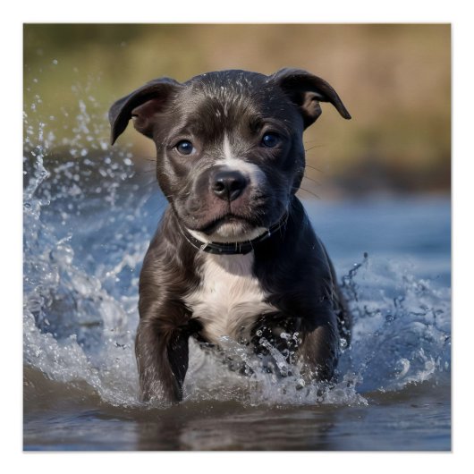 Poster "Wave Chaser : Un chiot robuste en jeu dans l'océa (Devant)