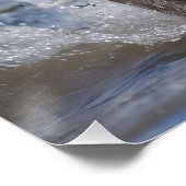 Poster "Wave Chaser : Un chiot robuste en jeu dans l'océa (Coin)