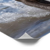 Poster "Wave Chaser : Un chiot robuste en jeu dans l'océa (Coin)