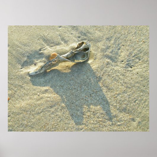 Poster Wave-Washing Shell (Voorkant)