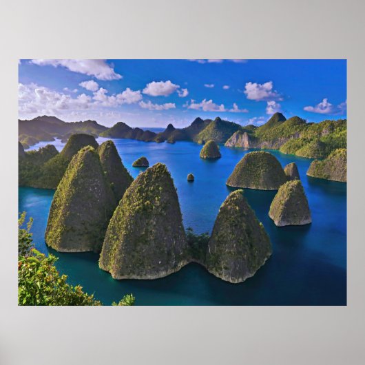 Poster Wayag (Devant)