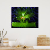 Poster WDV - 068 - Fleur (Cuisine)