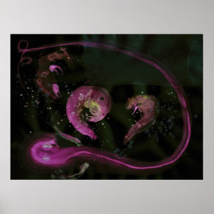 Poster WDV - 245 - Tisseuses de serpent
