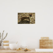 Poster Weasel, à queue courte (Cuisine)