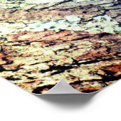 Poster Weaver Bird - R - 1948 (Coin)