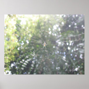Poster Web de Spider