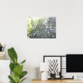 Poster Web de Spider (Bureau à domicile)