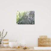 Poster Web de Spider (Cuisine)