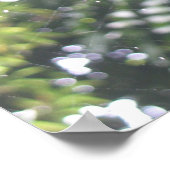 Poster Web de Spider (Coin)