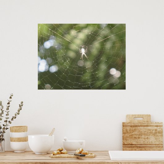 Poster Web de Spider (Cuisine)