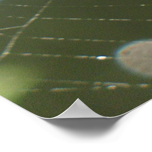 Poster Web de Spider (Coin)