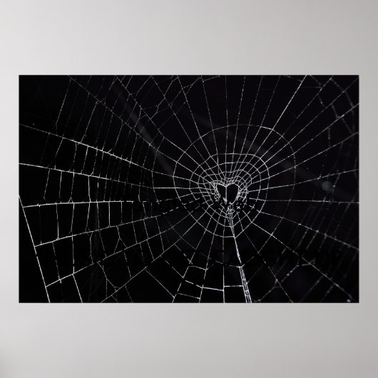 Poster Web en bande (Devant)