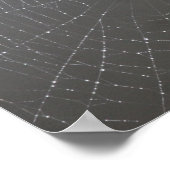 Poster Web Spider (Coin)