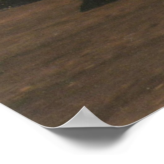 Poster Wedel Racing (Coin)