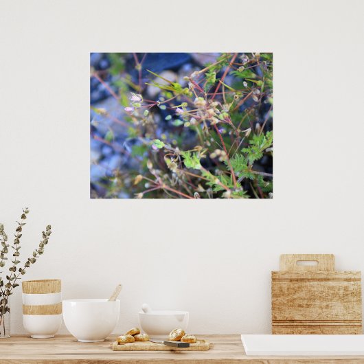 Poster Weeds (Cuisine)