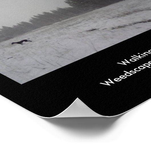 Poster WeedScapes par Weed Rabbitry (Coin)