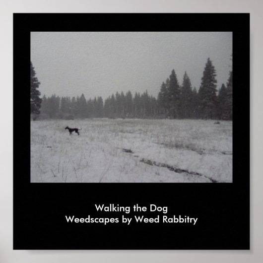 Poster WeedScapes par Weed Rabbitry (Devant)