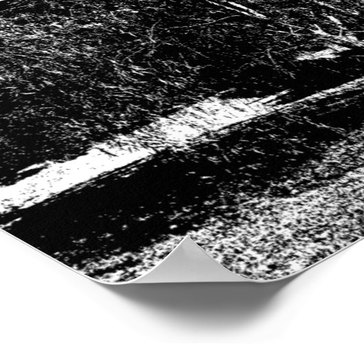 Poster Weeping Willow Canvas (Coin)