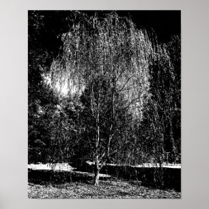 Poster Weeping Willow Canvas