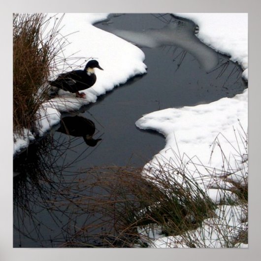 Poster weergeven (Voorkant)