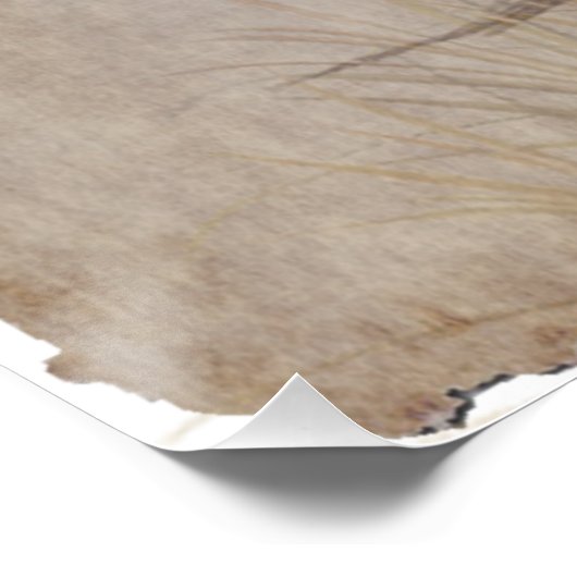 Poster Weimaraner (Coin)