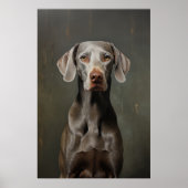 Poster Weimaraner (Devant)