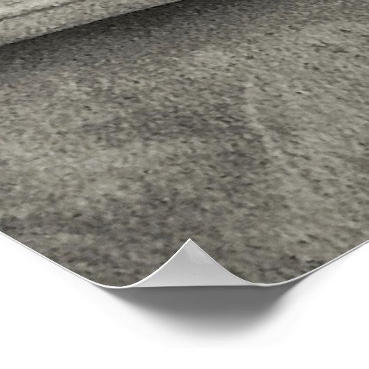 Poster Weimaraner (Coin)