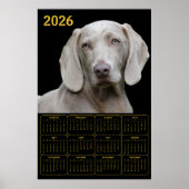 Poster Weimaraner 2026 Calendar (Devant)