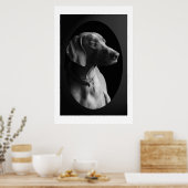 Poster Weimaraner Dans La Lumière Du Matin (Noir Et Blanc (Cuisine)