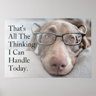 Poster Weimaraner Dans Les Lunettes Intelligentes