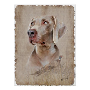 Poster Weimaraner Perfect Poster