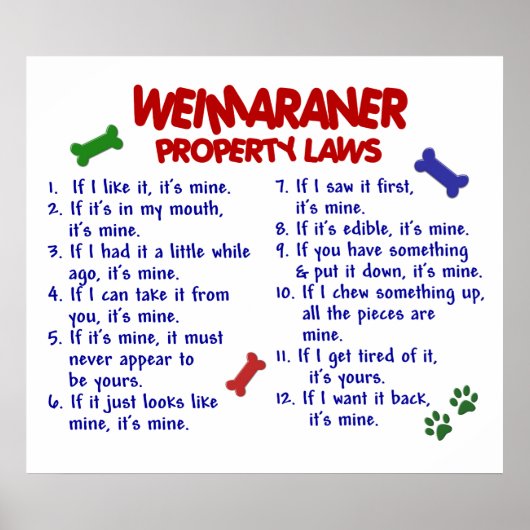 POSTER WEIMARANER PL2 (Devant)