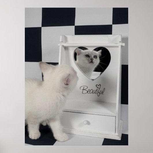 Poster Weiße Katze vorm Spiegel (Devant)
