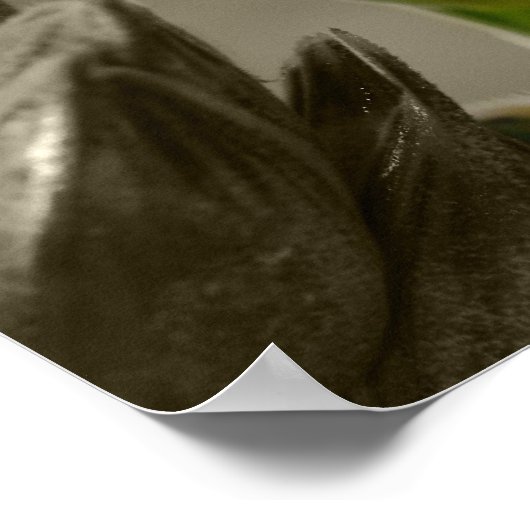 Poster Weizen-Blé (Coin)