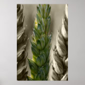 Poster Weizen-Blé (Devant)