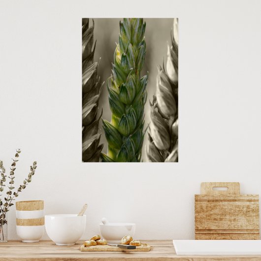 Poster Weizen-Blé (Cuisine)